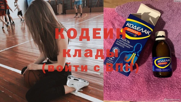 прущие грибы Абинск